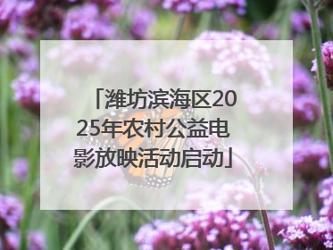 潍坊滨海区2025年农村公益电影放映活动启动