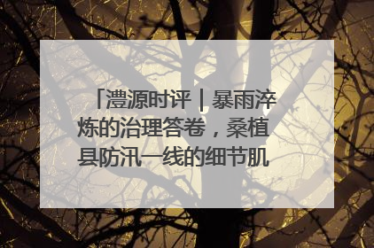 澧源时评｜暴雨淬炼的治理答卷，桑植县防汛一线的细节肌理与体系力量