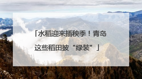 水稻迎来插秧季！青岛这些稻田披“绿装”