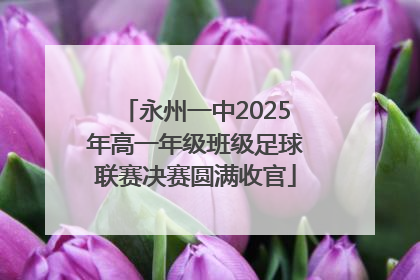永州一中2025年高一年级班级足球联赛决赛圆满收官
