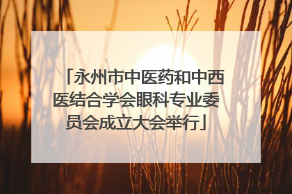 永州市中医药和中西医结合学会眼科专业委员会成立大会举行