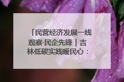 民营经济发展一线观察·民企先锋｜吉林低碳实践暖民心：太阳能供暖技术为北方清洁取暖破局