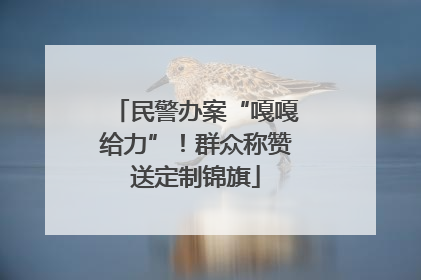 民警办案“嘎嘎给力”！群众称赞送定制锦旗