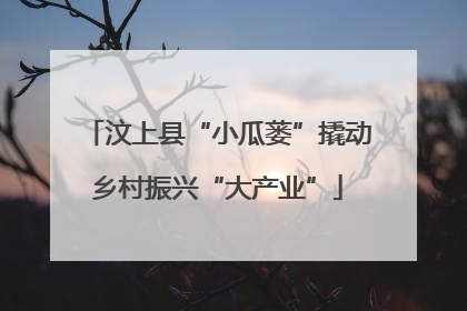 汶上县“小瓜蒌”撬动乡村振兴“大产业”