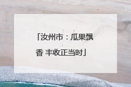 汝州市：瓜果飘香 丰收正当时