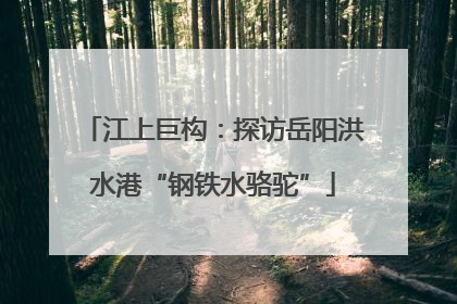 江上巨构：探访岳阳洪水港“钢铁水骆驼”
