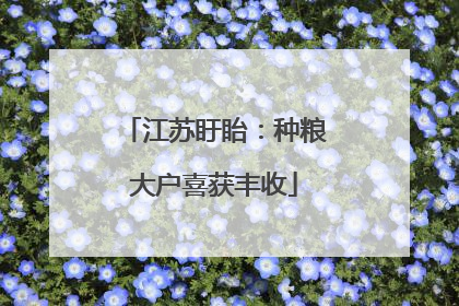 江苏盱眙：种粮大户喜获丰收