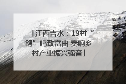 江西吉水：19村“鸽”鸣致富曲 奏响乡村产业振兴强音