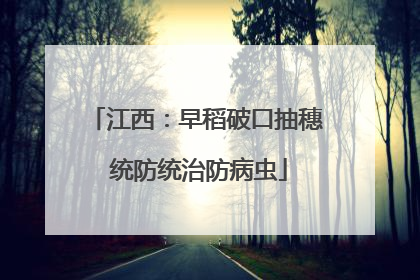 江西：早稻破口抽穗 统防统治防病虫