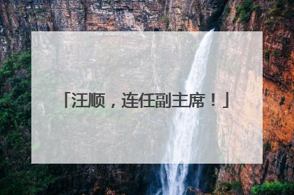 汪顺，连任副主席！