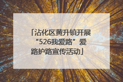 沾化区黄升镇开展“526我爱路”爱路护路宣传活动