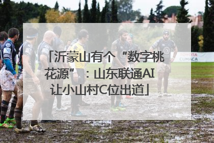 沂蒙山有个“数字桃花源”：山东联通AI让小山村C位出道