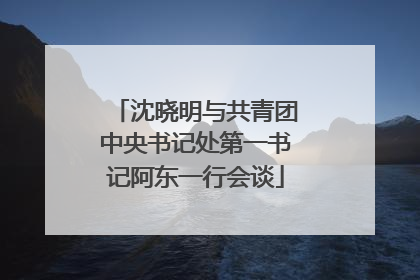 沈晓明与共青团中央书记处第一书记阿东一行会谈