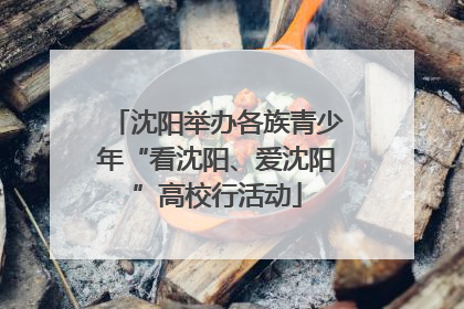 沈阳举办各族青少年“看沈阳、爱沈阳”高校行活动