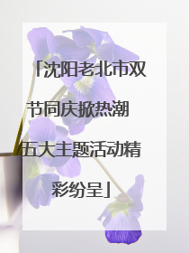沈阳老北市双节同庆掀热潮 五大主题活动精彩纷呈