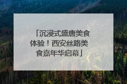 沉浸式盛唐美食体验！西安丝路美食嘉年华启幕
