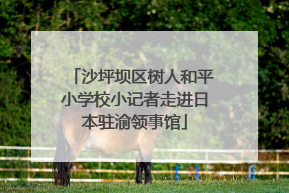沙坪坝区树人和平小学校小记者走进日本驻渝领事馆