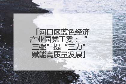 河口区蓝色经济产业园党工委：“三强”提“三力”赋能高质量发展
