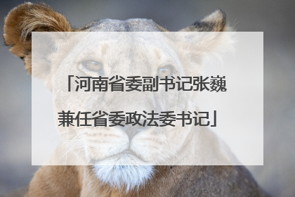 河南省委副书记张巍兼任省委政法委书记