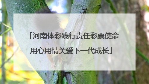 河南体彩践行责任彩票使命 用心用情关爱下一代成长