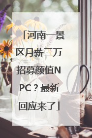 河南一景区月薪三万招募颜值NPC？最新回应来了