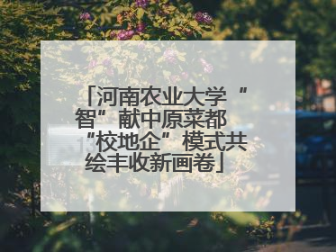 河南农业大学“智”献中原菜都 “校地企”模式共绘丰收新画卷