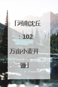 河南沈丘：102 万亩小麦开镰
