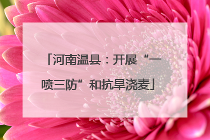河南温县：开展“一喷三防”和抗旱浇麦