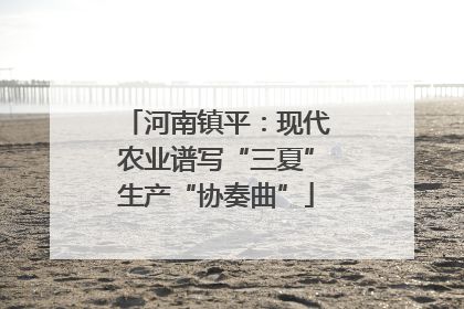 河南镇平：现代农业谱写“三夏”生产“协奏曲”