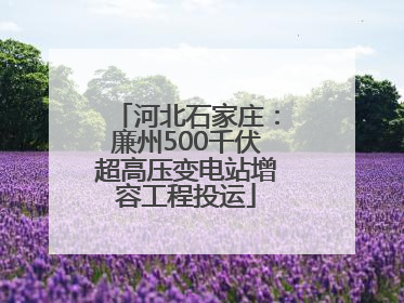 河北石家庄：廉州500千伏超高压变电站增容工程投运