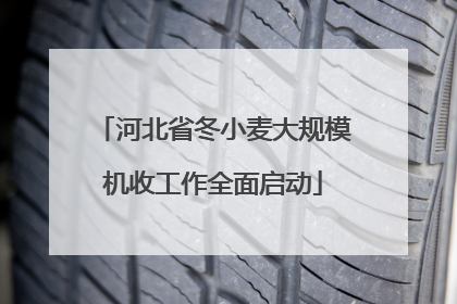 河北省冬小麦大规模机收工作全面启动