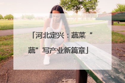 河北定兴：蔬菜“蔬”写产业新篇章