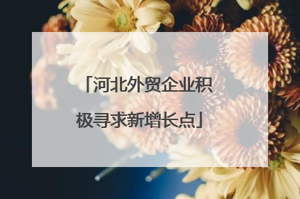 河北外贸企业积极寻求新增长点