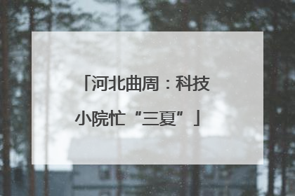 河北曲周：科技小院忙“三夏”