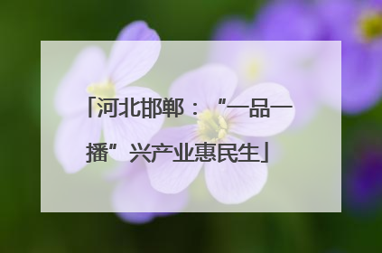 河北邯郸：“一品一播”兴产业惠民生