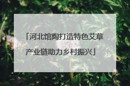 河北馆陶打造特色艾草产业链助力乡村振兴