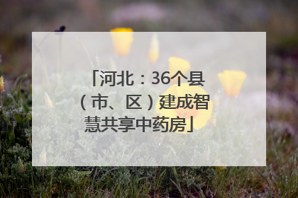 河北：36个县（市、区）建成智慧共享中药房