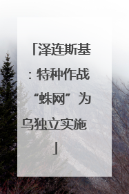 泽连斯基：特种作战“蛛网”为乌独立实施