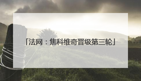 法网：焦科维奇晋级第三轮