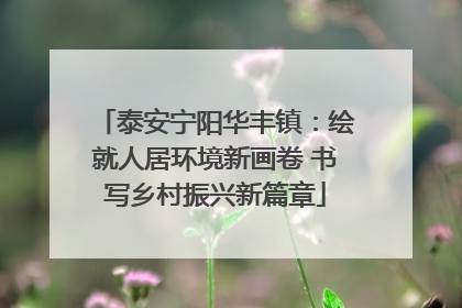 泰安宁阳华丰镇：绘就人居环境新画卷 书写乡村振兴新篇章