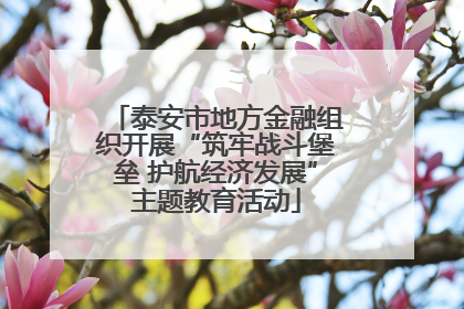 泰安市地方金融组织开展“筑牢战斗堡垒 护航经济发展”主题教育活动