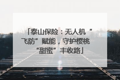 泰山保险：无人机“飞防”赋能，守护樱桃“甜蜜”丰收路