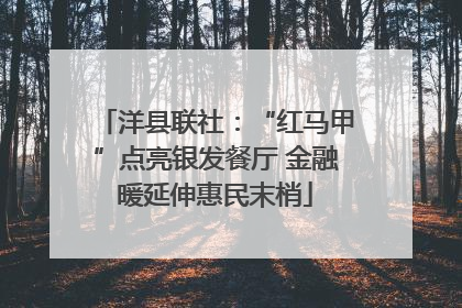 洋县联社：“红马甲”点亮银发餐厅 金融暖延伸惠民末梢