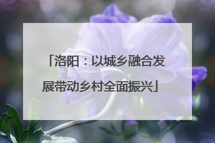 洛阳：以城乡融合发展带动乡村全面振兴