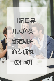 洞口县开展鱼类繁殖期护渔专项执法行动
