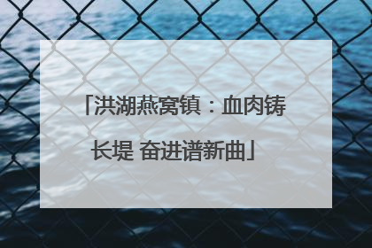 洪湖燕窝镇：血肉铸长堤 奋进谱新曲