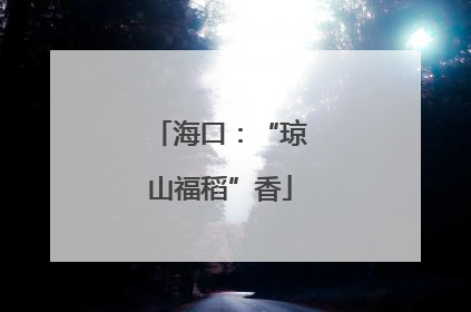 海口：“琼山福稻”香