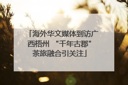 海外华文媒体到访广西梧州 “千年古郡”茶旅融合引关注