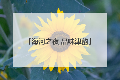 海河之夜 品味津韵
