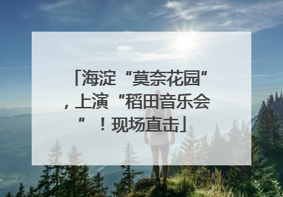 海淀“莫奈花园”，上演“稻田音乐会”！现场直击